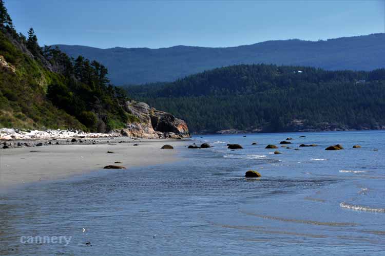 shoreline